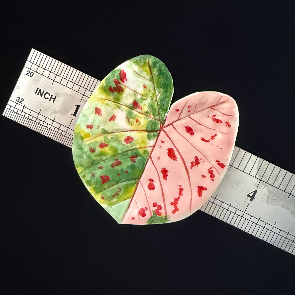 Handmade caladium leaf resin clay fridge magnet in green and pink with size reference ruler, approx 4 inches – Sylva Garden