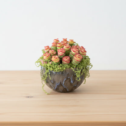 Handmade resin clay Crassula succulent colony with rose-shaped green and red-tipped rosettes and cascading green moss in dark glazed globe ceramic pot on wooden desk, natural light – Sylva Garden