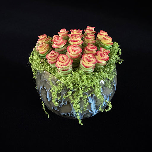 Handmade resin clay Crassula succulent colony angled overhead view showing layered green red-tipped rosettes and cascading moss detail in dark glazed globe ceramic pot – Sylva Garden