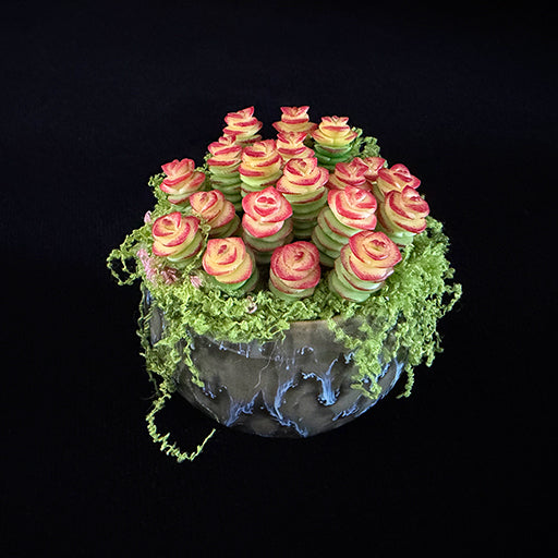 Handmade resin clay Crassula succulent colony overhead angled view showing dense rose-shaped green red-tipped rosettes with cascading green moss in dark glazed globe ceramic pot – Sylva Garden