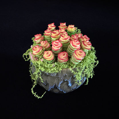 Handmade resin clay Crassula succulent colony overhead angled view showing dense rose-shaped green red-tipped rosettes with cascading green moss in dark glazed globe ceramic pot – Sylva Garden