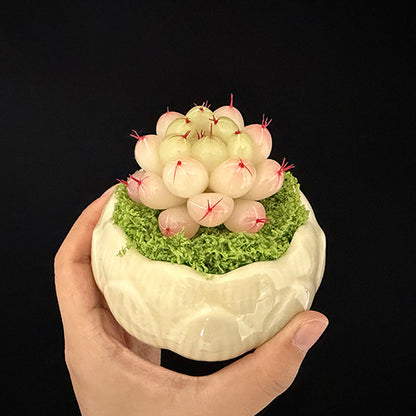 Handmade resin clay Haworthia rosette in white lotus-shaped ceramic pot with green moss held in hand, front view showing full planter – Sylva Garden