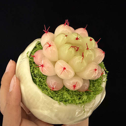 Handmade resin clay Haworthia rosette close-up showing plump translucent leaves with red spine tips and green moss in white lotus ceramic pot, held in hand – Sylva Garden