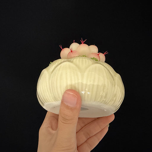 White lotus-shaped ceramic planter base view showing detailed petal relief pattern, held in hand – Sylva Garden