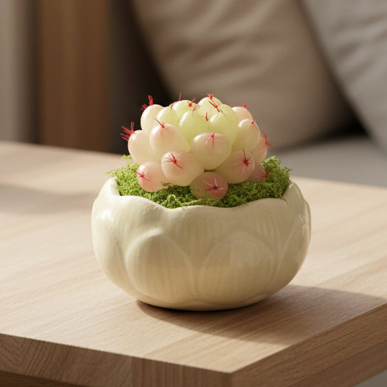Handmade resin clay Haworthia rosette in white lotus-shaped ceramic pot with green moss on wooden desk in warm natural light – Sylva Garden