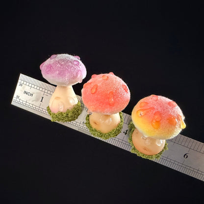 Handmade fluffy russula resin clay fridge magnets in purple pink and yellow with ruler for scale, front view on black background – Sylva Garden