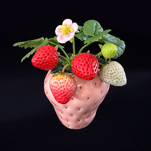 Handmade clay strawberry arrangement in pink strawberry-shaped ceramic pot with red white and green clay strawberries and pink blossom, front angled view on black background – Sylva Garden