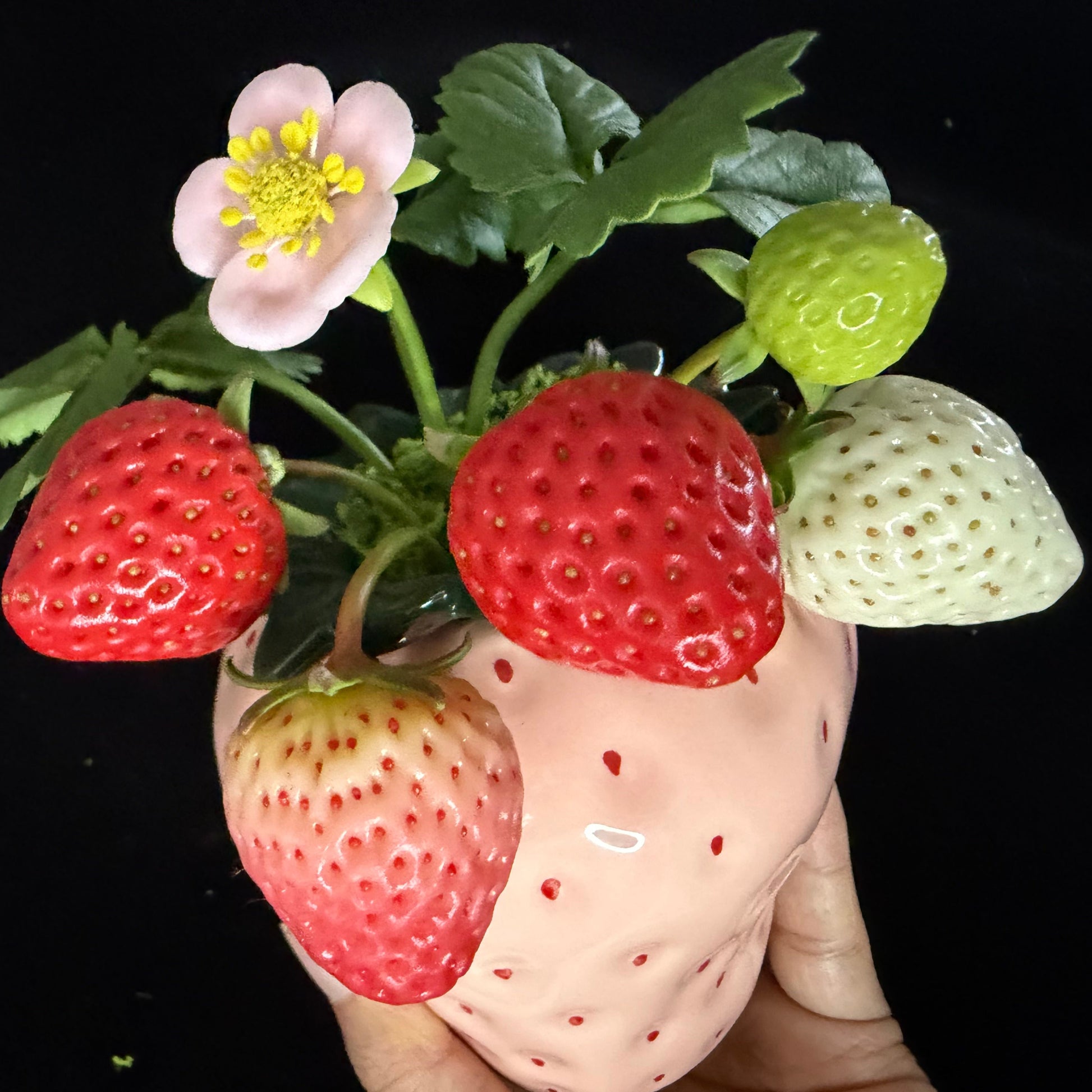 Close-up of handmade clay strawberry arrangement showing detailed red ripe white pineberry and green unripe clay strawberries with pink blossom and textured pink ceramic pot – Sylva Garden