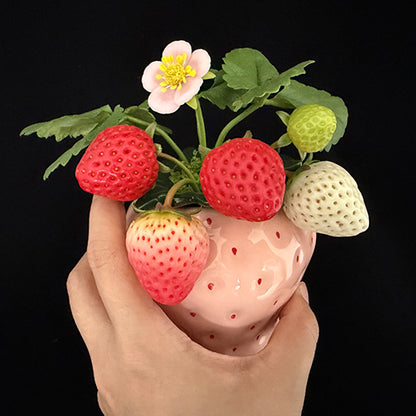 Handmade clay strawberry arrangement in pink strawberry-shaped ceramic pot held in hand showing red white and green clay strawberries with pink blossom and green leaves – Sylva Garden