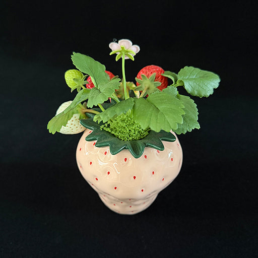 Handmade clay strawberry arrangement side view showing pink strawberry-shaped ceramic pot texture with red and white clay strawberries and green leaves – Sylva Garden