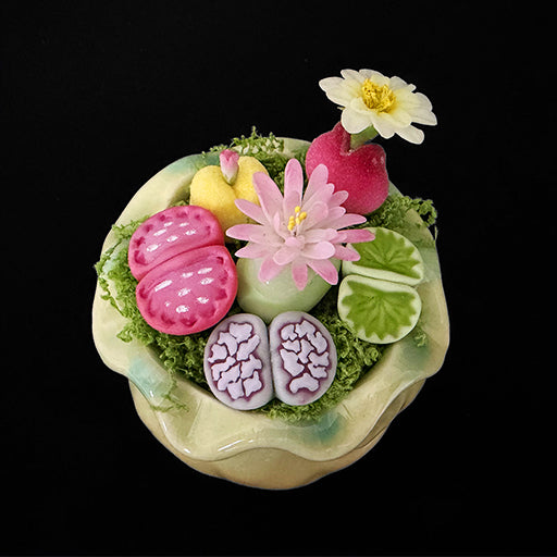 Handmade clay succulent arrangement in green lotus-shaped pot overhead view showing pink lithops yellow succulent pink daisy white water lily green cactus pad and moss – Sylva Garden