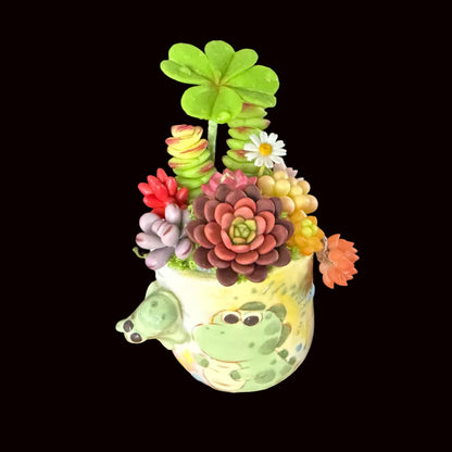 Little Croc Garden handmade clay succulent arrangement side view showing colorful rosette succulents four-leaf clover and daisy in crocodile ceramic pot on black background – Sylva Garden