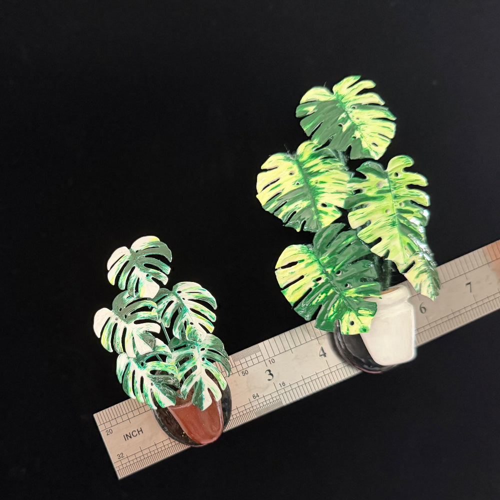 White and brown pot monstera resin clay fridge magnet two variants with size reference ruler – Sylva Garden