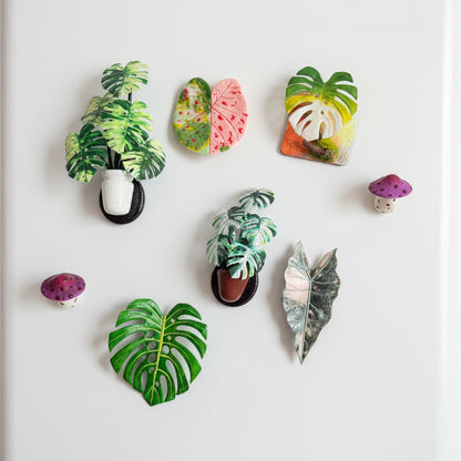 Handmade resin clay fridge magnets on refrigerator door, monstera potted plants, tropical leaves and mushroom designs – Sylva Garden