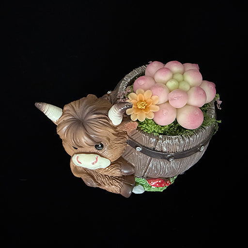 Handmade highland cow resin planter angled overhead view showing pink clay succulents orange flower moss barrel body and horn detail – Sylva Garden