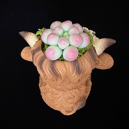 Handmade highland cow resin succulent planter angled back view showing pink green clay succulent crown and horn detail – Sylva Garden