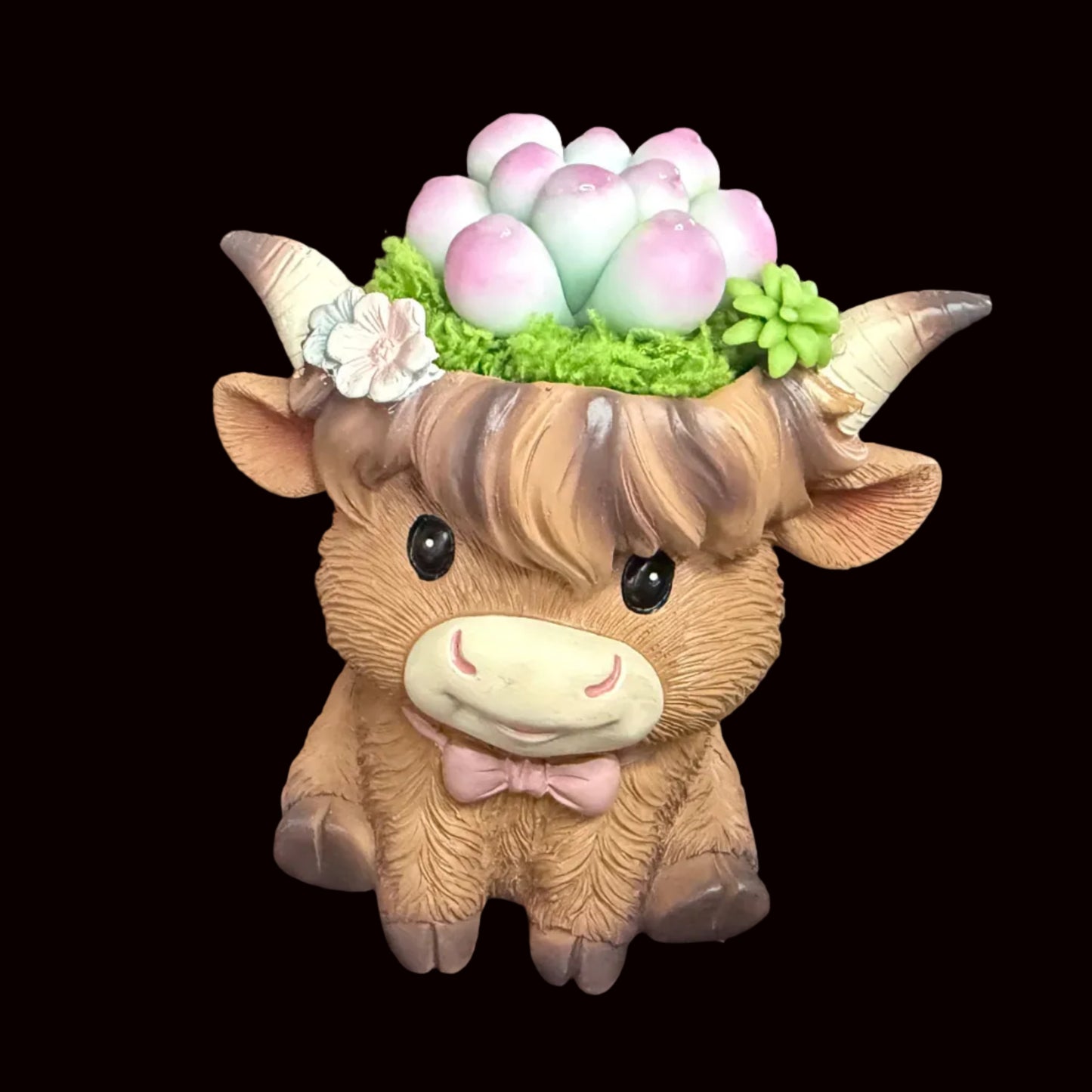 Handmade highland cow resin succulent planter close-up showing fluffy brown cow face with pink bow tie white flower accent and pink green Peach Girl succulent crown – Sylva Garden