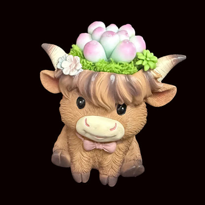 Handmade highland cow resin succulent planter close-up showing fluffy brown cow face with pink bow tie white flower accent and pink green Peach Girl succulent crown – Sylva Garden