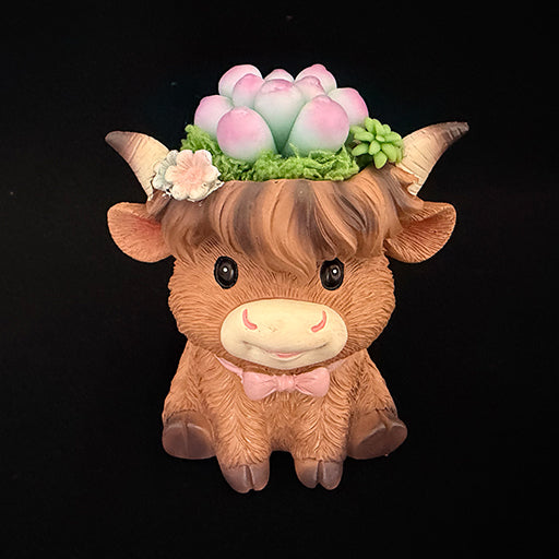 Handmade highland cow resin succulent planter with pink green clay succulent crown and pink bow tie, front view showing full planter – Sylva Garden