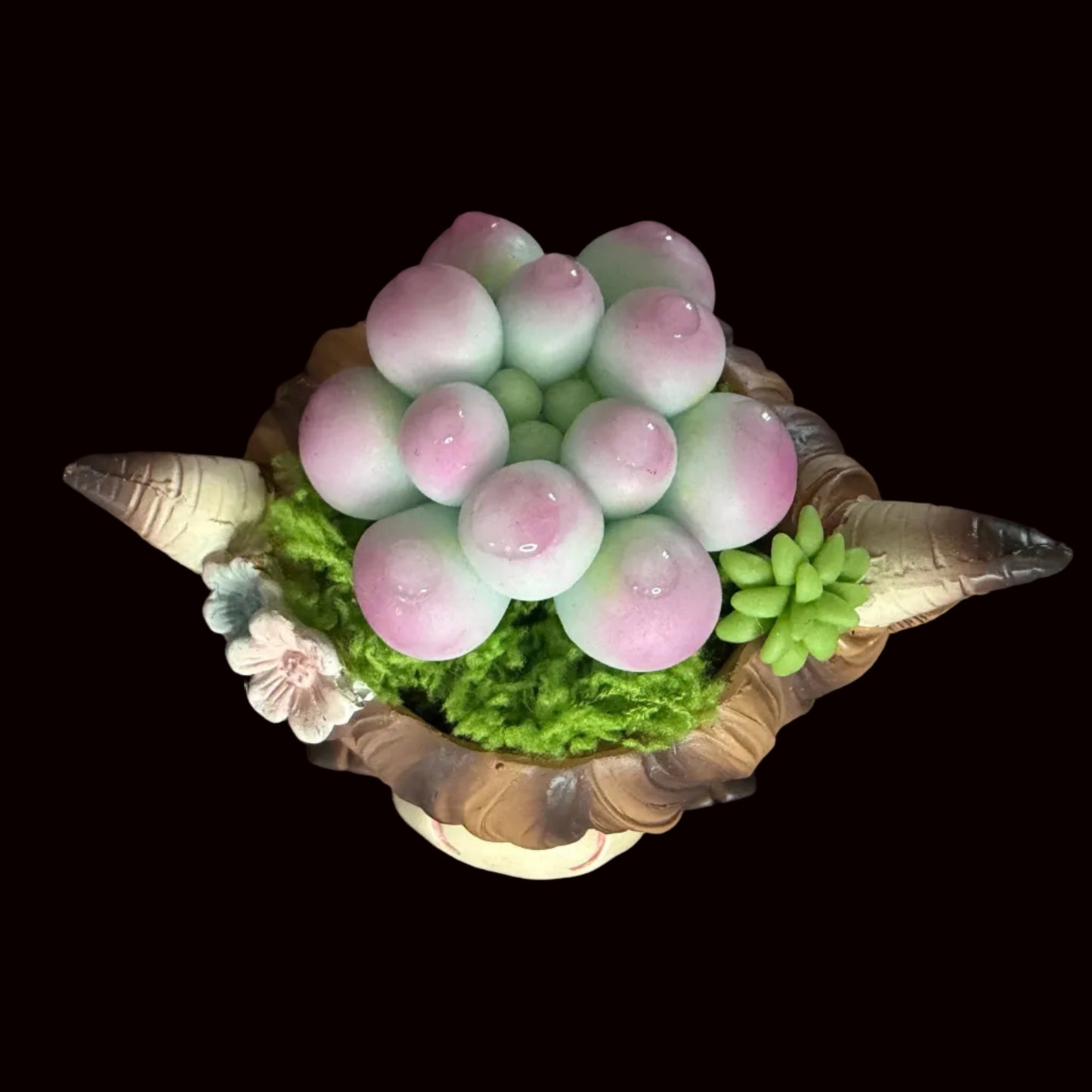 Handmade highland cow resin succulent planter overhead view showing pink green Peach Girl succulent crown with white flower accent and symmetrical horns – Sylva Garden
