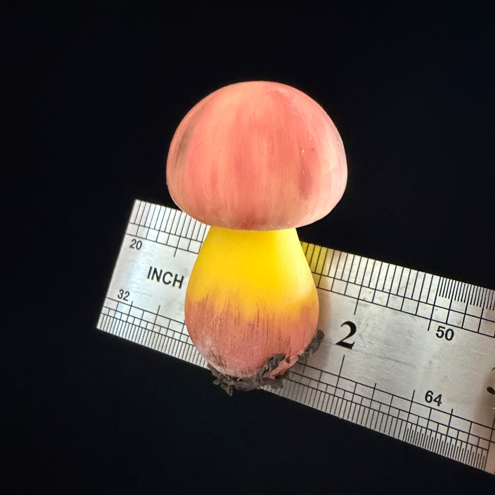 Handmade russula paludosa mushroom resin clay fridge magnet in pink and yellow with size reference ruler on black background – Sylva Garden