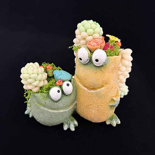 Handmade green and tan frog resin succulent planter duo front view showing full clay succulent crowns colorful flowers and moss on both planters – Sylva Garden
