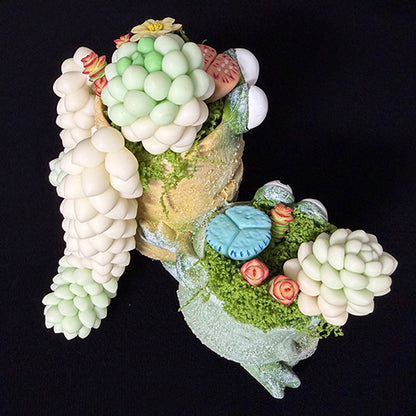 Handmade frog resin succulent planter duo overhead view showing full clay succulent and flower arrangement on both green and tan frog planters – Sylva Garden