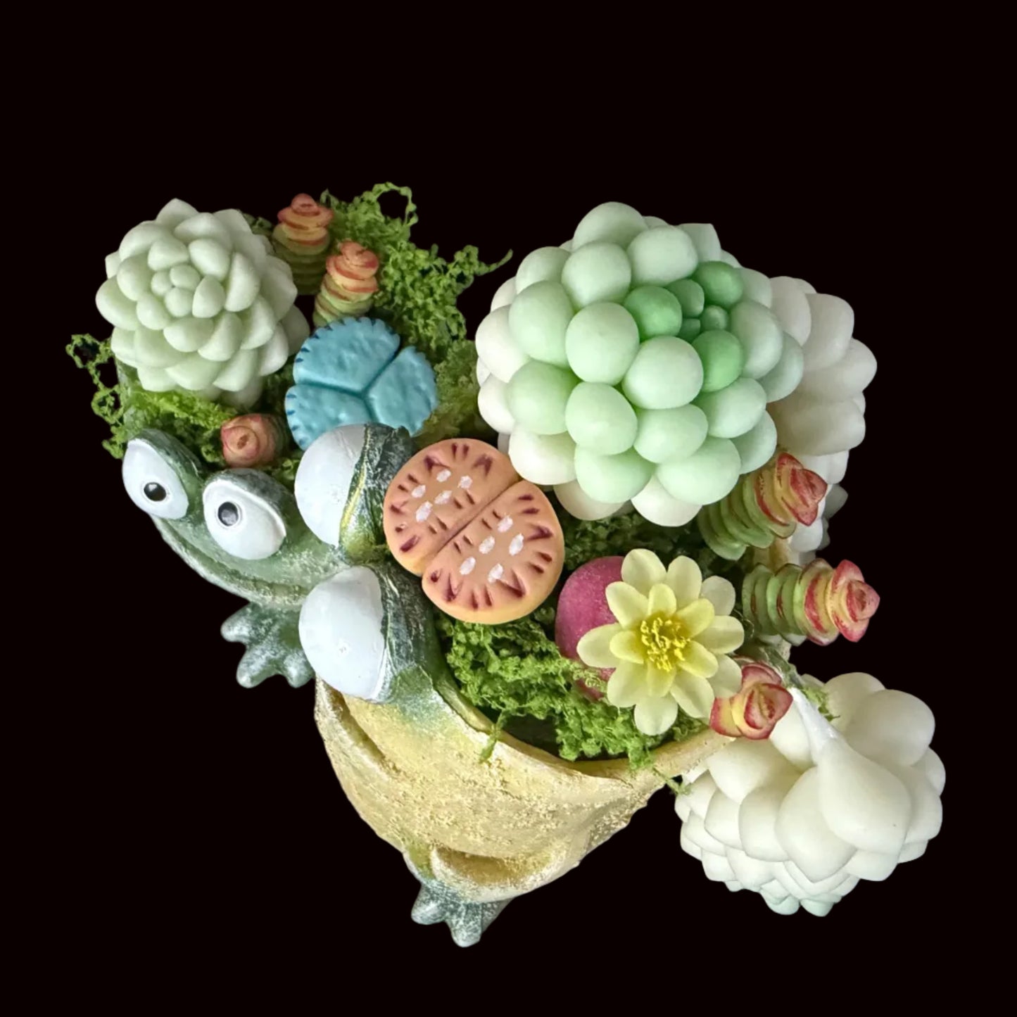 Handmade frog resin succulent planter duo overhead angled view showing white green clay succulents blue lithops pink watermelon lithops yellow flower and spiral succulents with moss – Sylva Garden