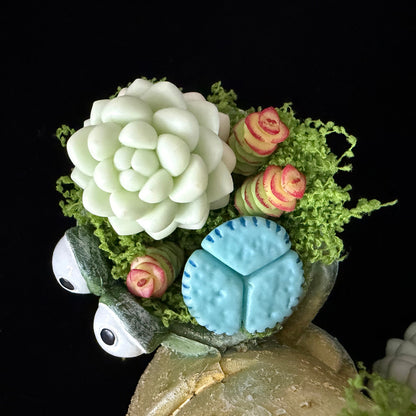 Handmade green frog resin succulent planter close-up showing white clay succulent blue lithops pink spiral succulents and green moss crown detail – Sylva Garden